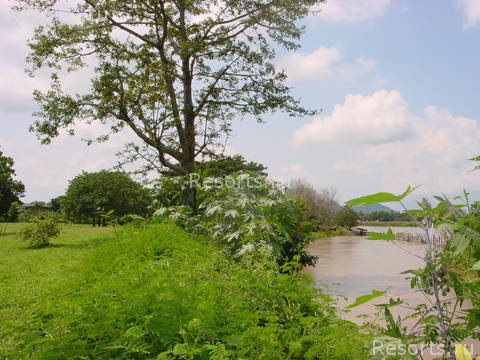 The Legend Chiang Rai River Resort & Spa 27